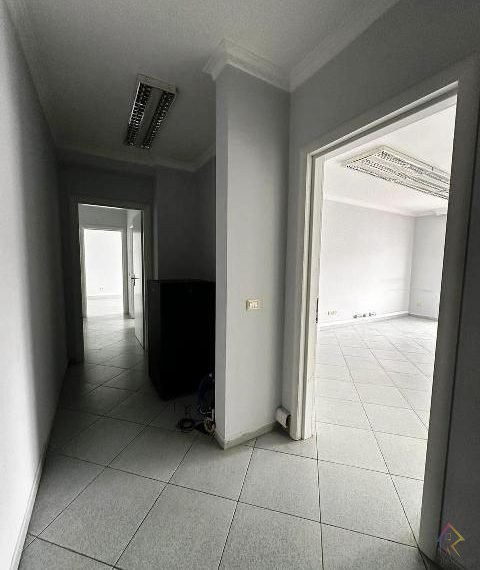 WhatsApp Image 2024-05-23 at 2.43.05 PM (1)