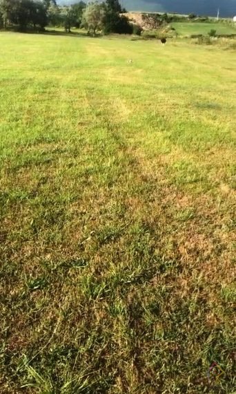 Shitet toke ne Farke, 5 min nga TEG