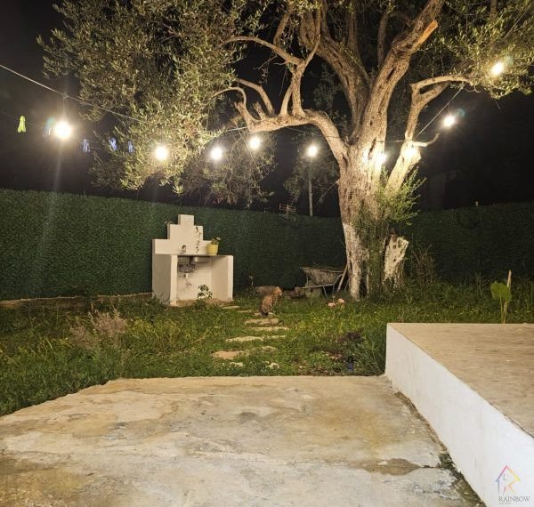 WhatsApp Image 2025-08-18 at 10.25.22