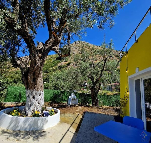 WhatsApp Image 2025-08-18 at 10.30.30 (1)