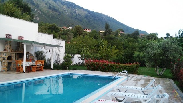 Shitet vile private me pishine ne Priske