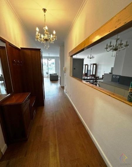 WhatsApp Image 2026-01-15 at 13.57.00