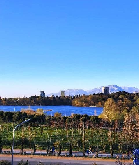 WhatsApp Image 2026-01-28 at 16.26.00 (4)